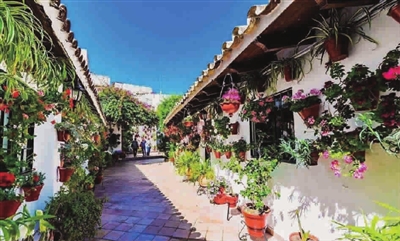 科爾多瓦庭院節——花卉界的“奧斯卡”