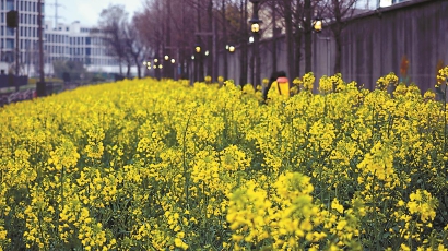 共治的景觀,讓社區(qū)更美好