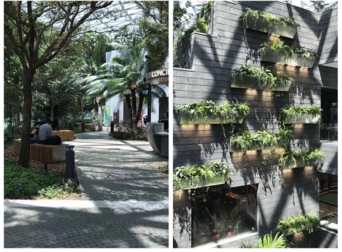 北京新機場試飛,看世界上令人驚嘆機場設計