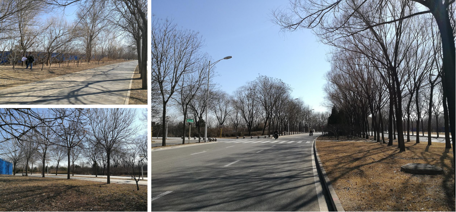 園點景觀李健宏：造境——景觀場地特質探尋