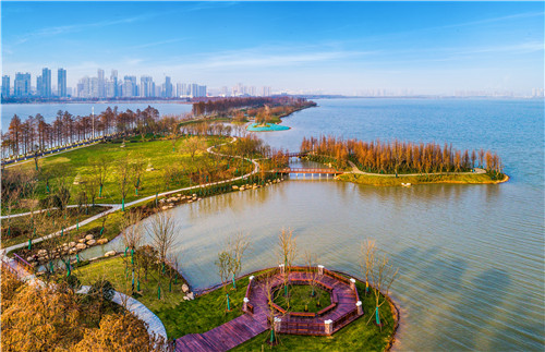 令人拍案叫絕的綠道景觀設計