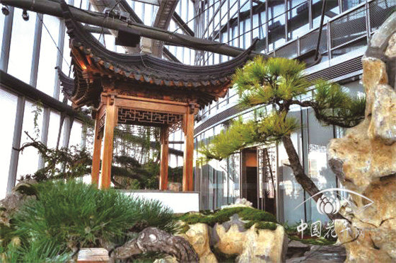 世界最高室內中國園林 上海半畝園正式對公眾開放