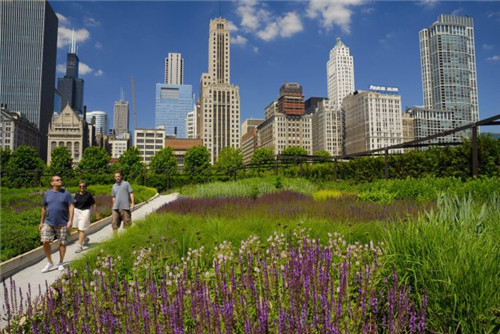 埃菲爾鐵塔周邊將改造為大花園，由哪位大師設計？