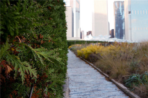 埃菲爾鐵塔周邊將改造為大花園，由哪位大師設計？