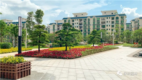 雖然這是座醫院，但景觀美的不像話！