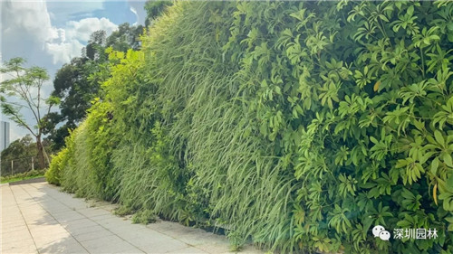 雖然這是座醫院，但景觀美的不像話！