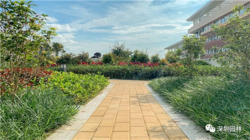 雖然這是座醫院，但景觀美的不像話！