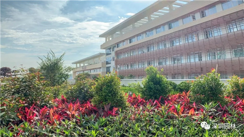 雖然這是座醫院，但景觀美的不像話！