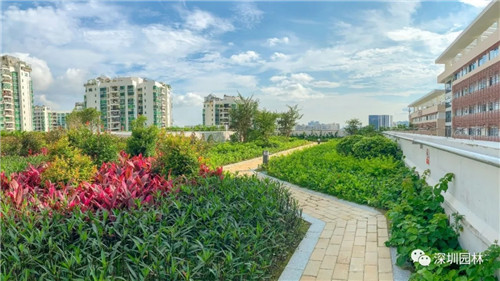 雖然這是座醫院，但景觀美的不像話！