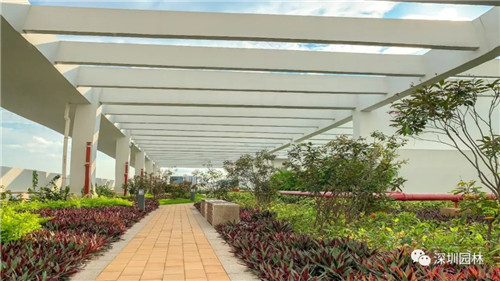 雖然這是座醫院，但景觀美的不像話！