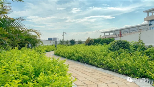 雖然這是座醫院，但景觀美的不像話！