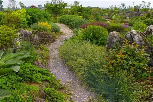 “秘密花園”,云漫湖的詩(shī)與遠(yuǎn)方!