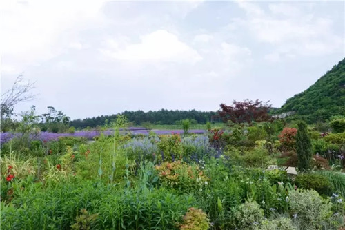 “秘密花園”,云漫湖的詩(shī)與遠(yuǎn)方!