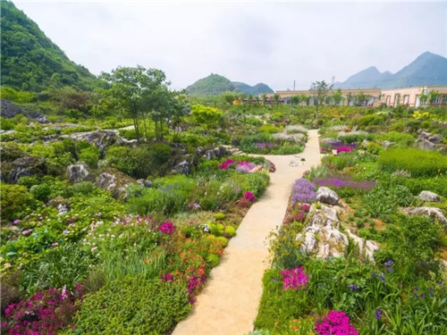 “秘密花園”,云漫湖的詩(shī)與遠(yuǎn)方!