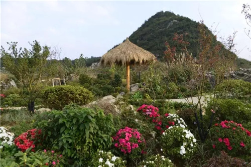 “秘密花園”,云漫湖的詩(shī)與遠(yuǎn)方!