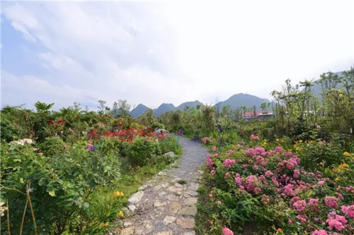 “秘密花園”,云漫湖的詩(shī)與遠(yuǎn)方!