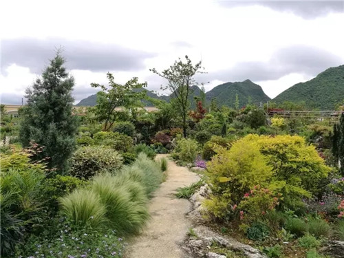 “秘密花園”,云漫湖的詩(shī)與遠(yuǎn)方!