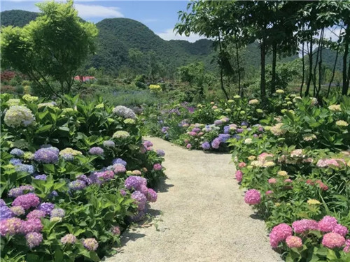 “秘密花園”,云漫湖的詩(shī)與遠(yuǎn)方!