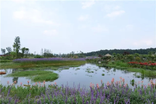 “秘密花園”,云漫湖的詩(shī)與遠(yuǎn)方!