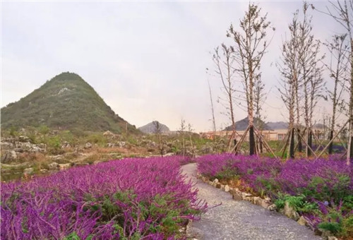 “秘密花園”,云漫湖的詩(shī)與遠(yuǎn)方!