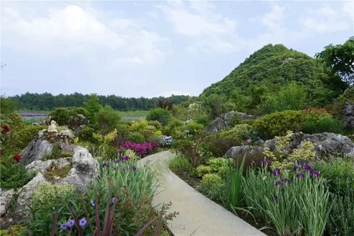 “秘密花園”,云漫湖的詩(shī)與遠(yuǎn)方!