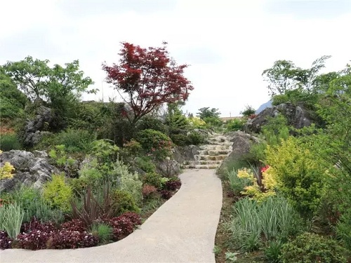 “秘密花園”,云漫湖的詩(shī)與遠(yuǎn)方!