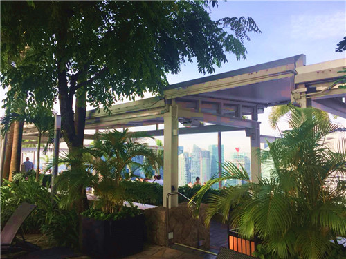 無邊際泳池,令人驚嘆的空中景觀