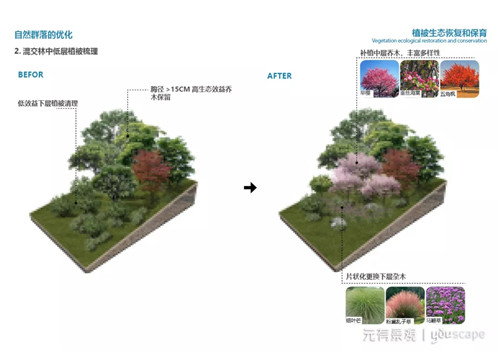 蜀國新天府,秀色看簡州——成都龍升公園