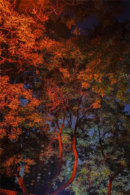 城市色彩規劃真的有人關心嗎?