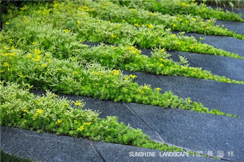 北京順景園林近期作品