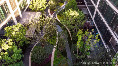 北京順景園林近期作品