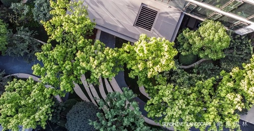 北京順景園林近期作品