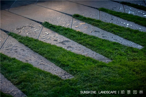 北京順景園林近期作品