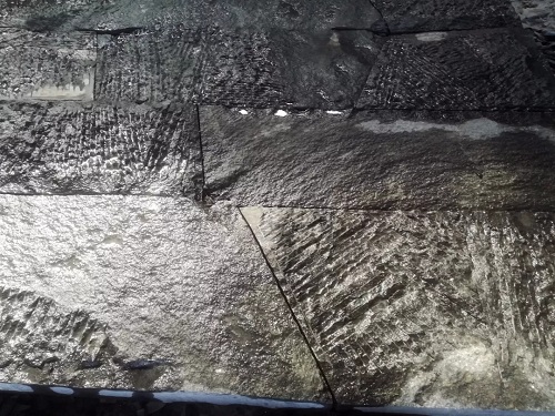 北京順景園林近期作品