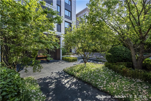 北京順景園林近期作品