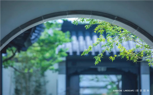 北京順景園林近期作品