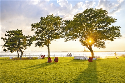 城市森林:繁華紐約的另一面