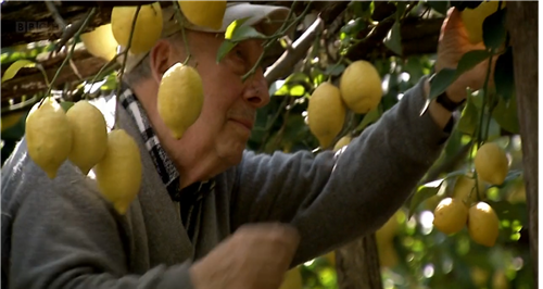 邊春霖:健康城市·健康園藝·健康人