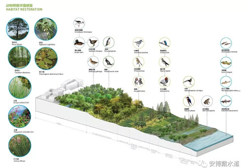 絳溪公社—成都天府國際空港新城絳溪河公園