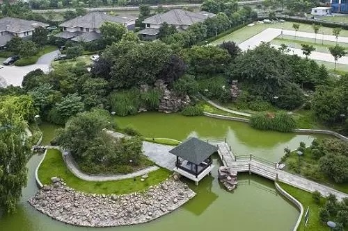 曾甘之如飴的PPP項目如今成了燙手山芋,園林工程企業如何渡難關?