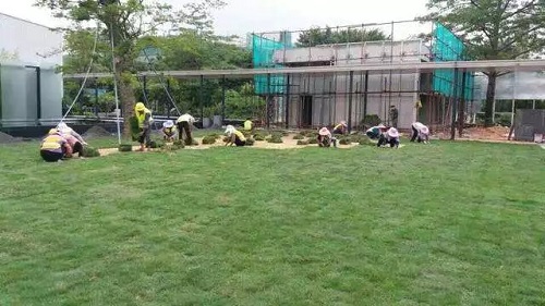 曾甘之如飴的PPP項目如今成了燙手山芋,園林工程企業如何渡難關?