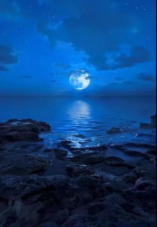 LAURENT羅朗景觀 | 世茂青島?璀璨天樾