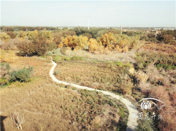 世界上海拔最低的植物園——新疆吐魯番沙漠植物園