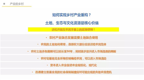 吳必虎:城鄉(xiāng)一體方能振興鄉(xiāng)村