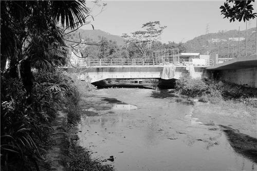 文科園林丨深圳大梅沙河景觀改造設計