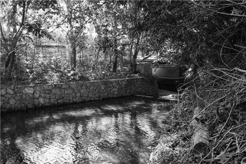 文科園林丨深圳大梅沙河景觀改造設計