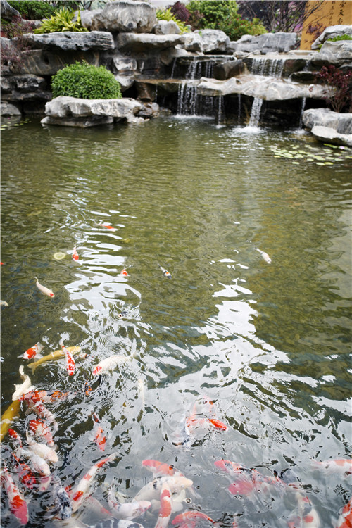 高宅大園 國風賦新丨深圳泰禾金尊府