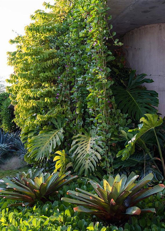 巴比倫空中花園不只在傳說中