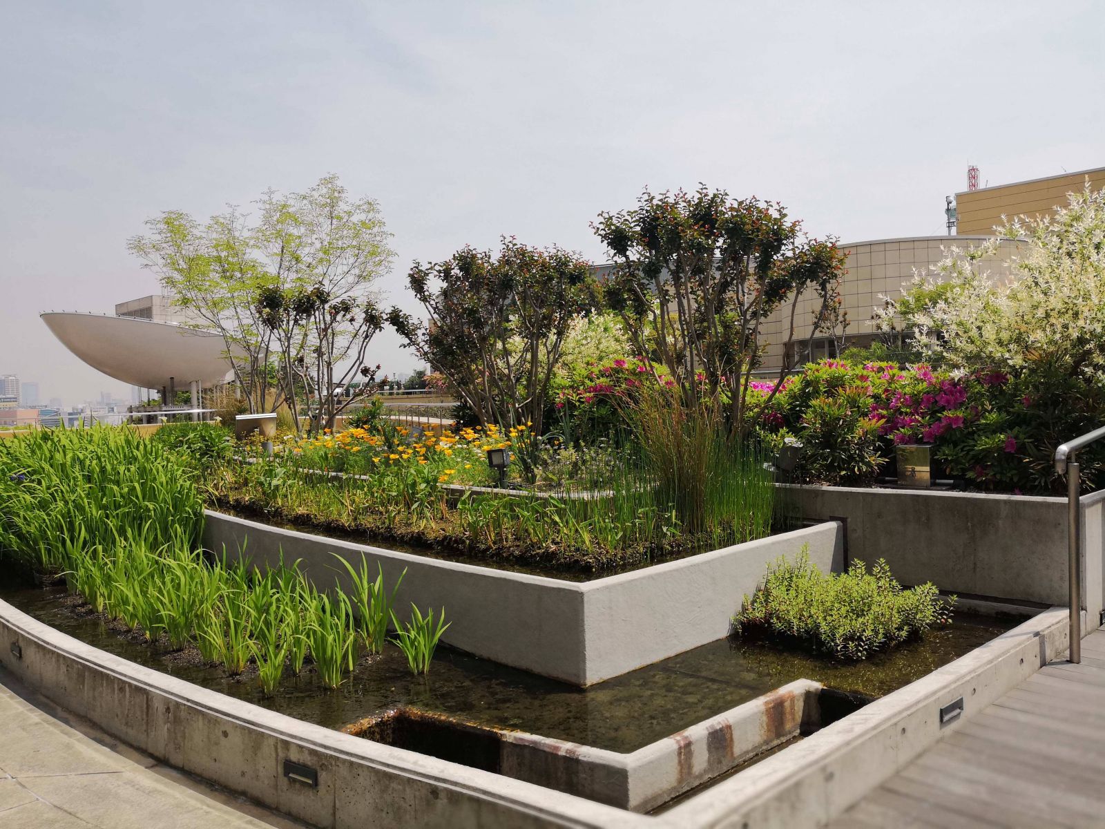 巴比倫空中花園不只在傳說中