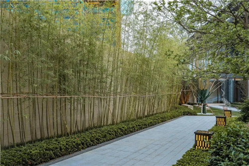 天空之鏡 長江之印 | 偉星·印長江